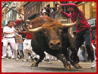 toro 7 de julio