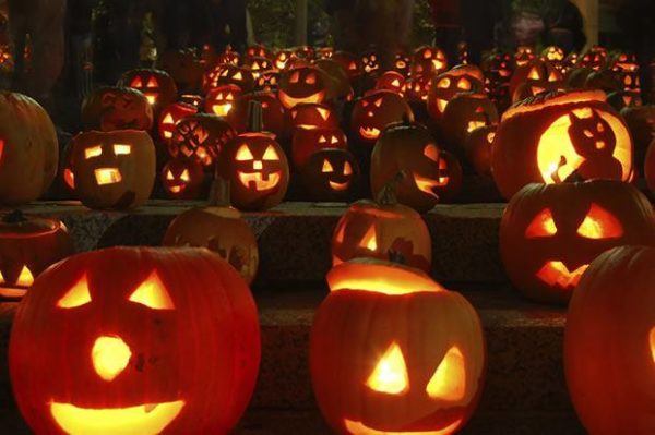 Calabazas en fila