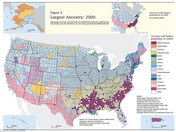 40-mapas-que-explican-el-mundo-Ascendencia-americana-por-condados
