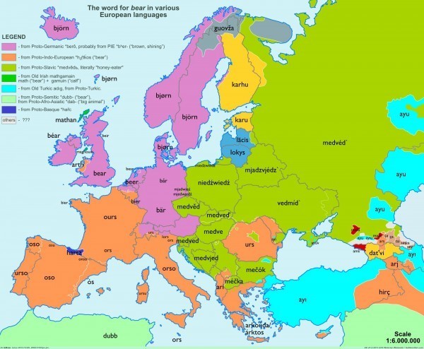 40-mapas-que-explican-el-mundo-la-palabra-oso-bear-en-las-lenguas-europeas