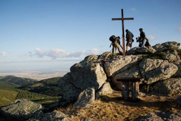 romeria magosto corto
