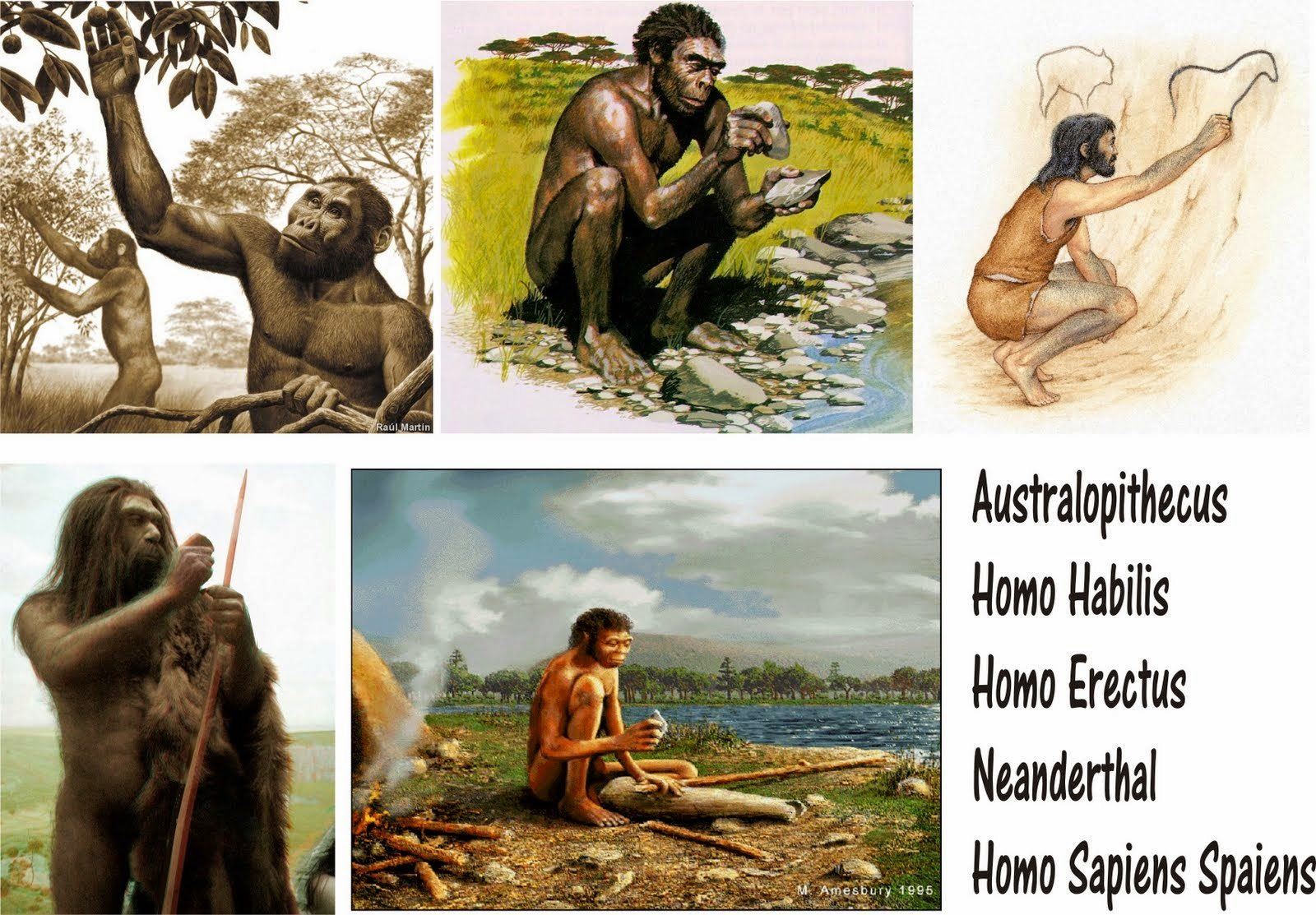 HOMO SAPIENS Caracter sticas Herramientas SobreHistoria HOMO SAPIENS Caracter sticas Herramientas SobreHistoria