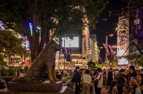 quien-fue-hachiko