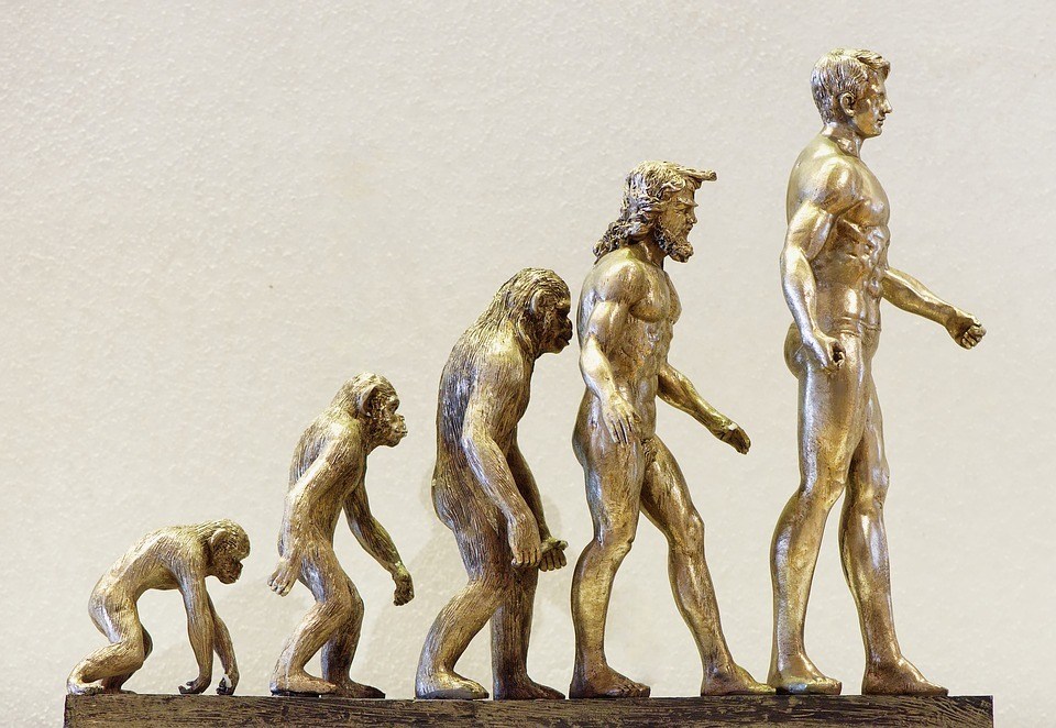 Proceso de hominización y predecesores del Homo Sapiens - Temario