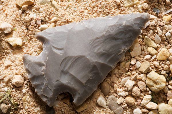 Homo sapiens piedra 