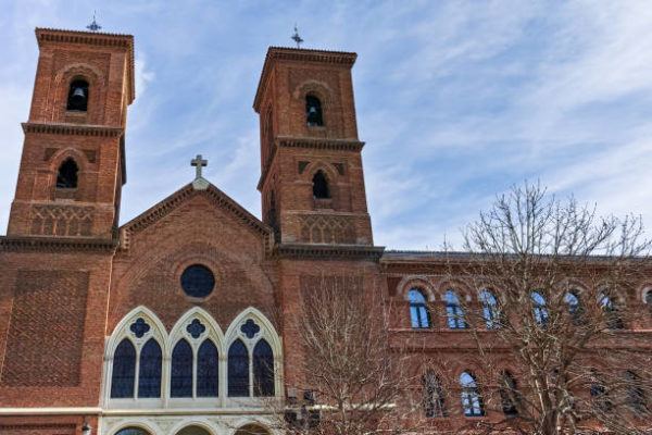Que es el dia de la paloma toda historia cuando es donde se celebra