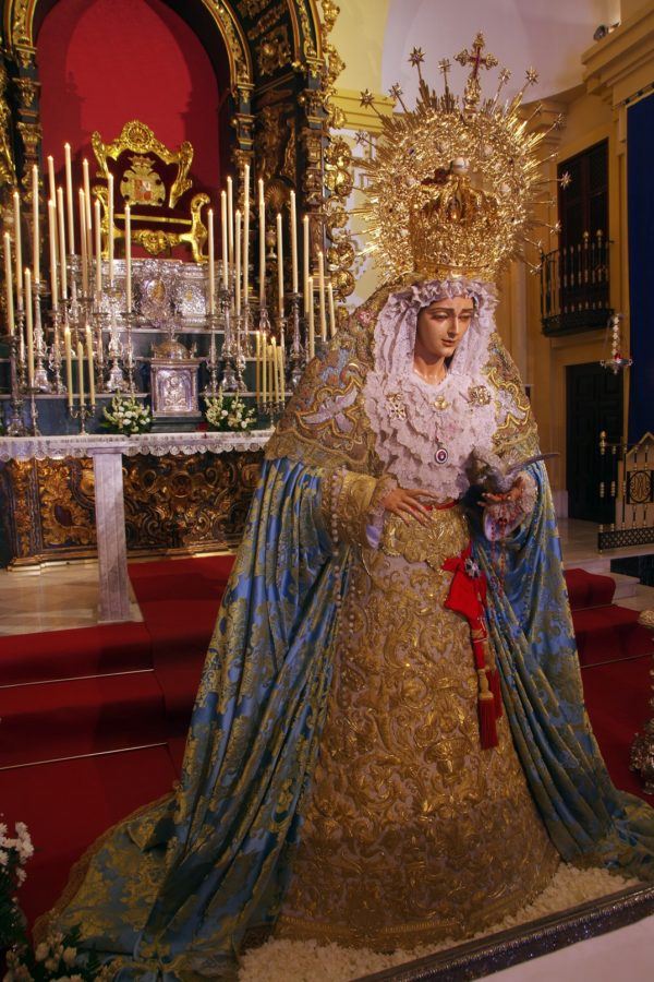 Que es el dia de la paloma toda su historia cuando es donde se celebra virgen en malaga