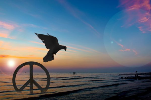 Símbolo de la paz y paloma