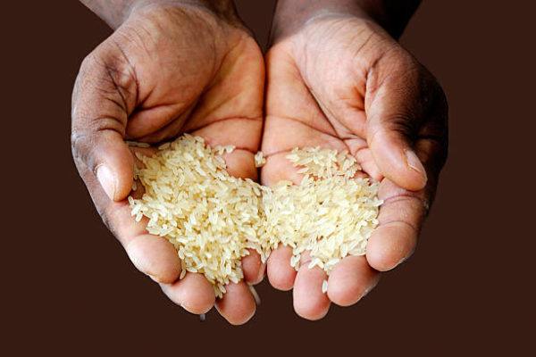 Dia mundial de alimentacion 