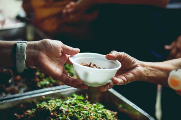 Dia mundial de la alimentacion 