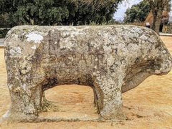 Verracos vetones
