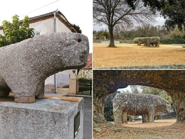 ¿Qué misterios esconden los verracos vetones?